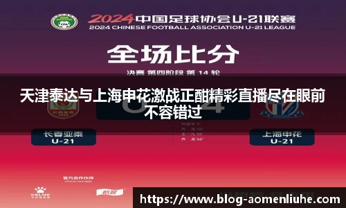 天津泰达与上海申花激战正酣精彩直播尽在眼前不容错过