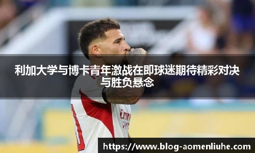 新澳门六合彩