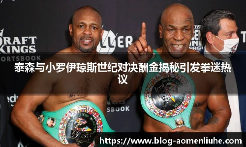 泰森与小罗伊琼斯世纪对决酬金揭秘引发拳迷热议